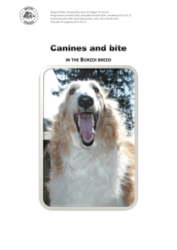 Canines and bite in the Borzoi breed