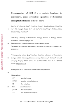 Overexpression of SET &beta; , a protein localizing to centromeres