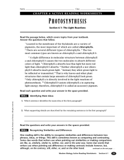 qipuptzouiftjt - MrCamm