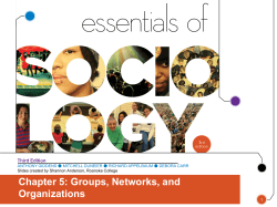 Chapter 5: Groups, Networks, and Organizations