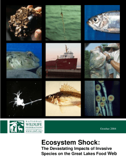 Ecosystem Shock-The Devastating Impacts of Invasive Species on