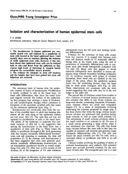 Isolation and Characterization of Human Epidermal Stem Cells
