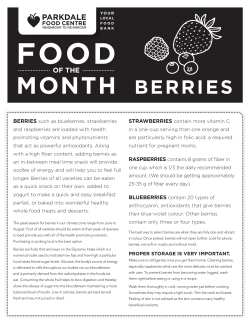 Berries - Parkdale Food Centre