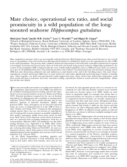 Mate choice, operational sex ratio, and social promiscuity in a wild