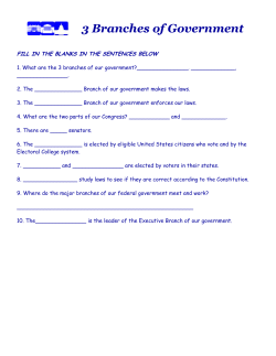 3 Branches of Government