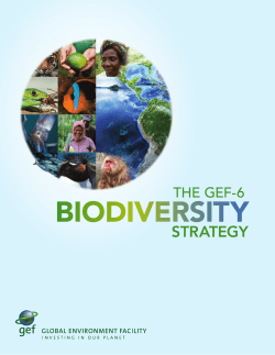 English - Global Environment Facility
