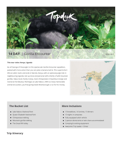 14 DAY | Gorilla Encounter