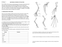 A. HOMOLOGOUS STRUCTURES