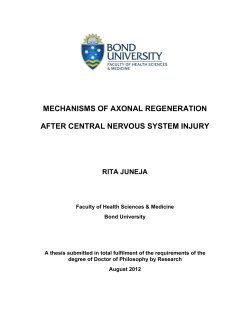 Mechanisms of Axonal Regeneration After Central Nervous System