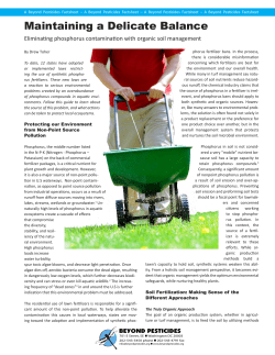 Maintaining a Delicate Balance