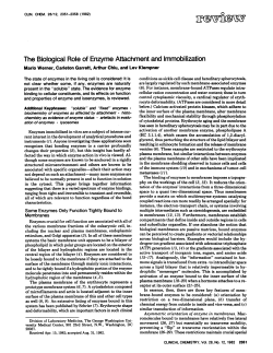The Biological Role of Enzyme Attachmentand