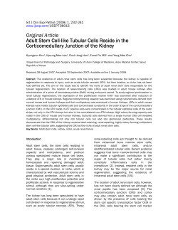 Introductory paragraph: 200 words, background, rationale, main