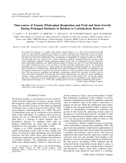 Time-course of Tomato Whole-plant Respiration