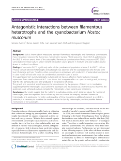 Antagonistic interactions between filamentous heterotrophs