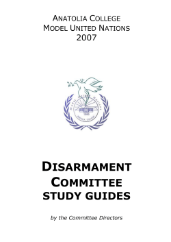 Disarmament Committee