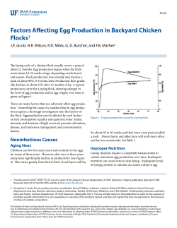 Factors Affecting Egg Production in Backyard Chicken Flocks1