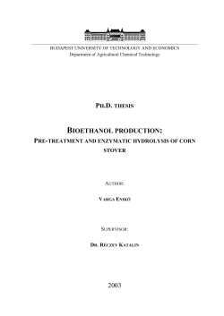 PRE-TREATMENT AND ENZYMATIC HYDROLYSIS OF CORN