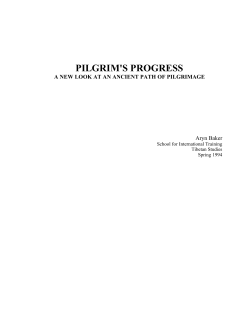 pilgrim`s progress