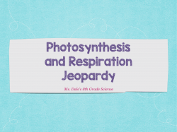 Photosynthesis and Respiration Jeopardy