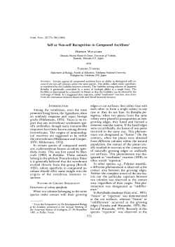 Self or Non-self Recognition in Compound