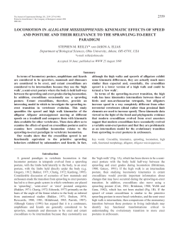 locomotion in alligator mississippiensis: kinematic effects of speed