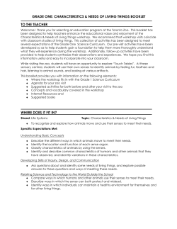 Grade 1 characteristics booklet