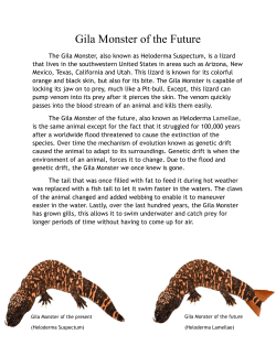 Gila Monster of the Future - Alexander Kreul`s Portfolio