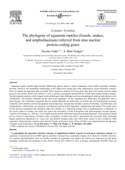 The phylogeny of squamate reptiles (lizards, snakes, and
