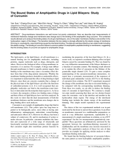 The Bound States of Amphipathic Drugs in Lipid Bilayers: Study of
