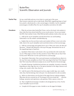 Butterflies: Scientific Observation and Journals