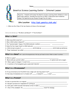DNA Internet Activity