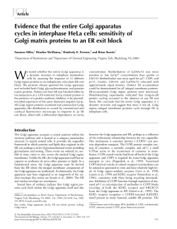 Evidence that the entire Golgi apparatus cycles in interphase HeLa