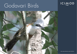 Godavari Birds
