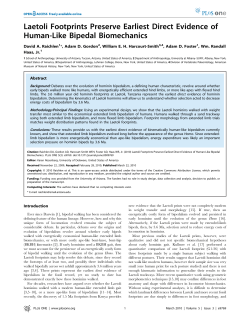 Laetoli Footprints Preserve Earliest Direct Evidence of Human