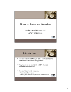 Financial Statement Overview Introduction
