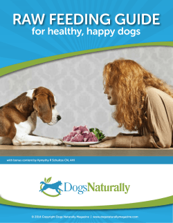 A Raw Feeding Guide for Healthy, Happy Dogs