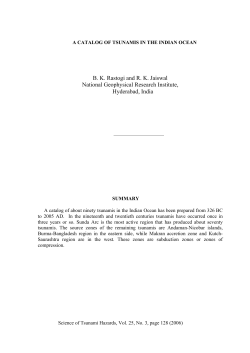 A Catalog of Tsunamis in the Indian Ocean