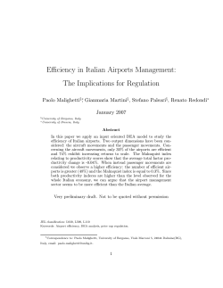 Efficiency in Italian Airports Management: The Implications