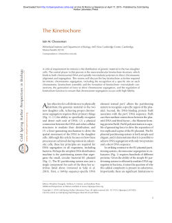 The Kinetochore - e-learning