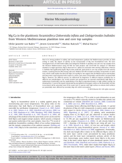 Mg/Ca in the planktonic foraminifera Globorotalia inflata and