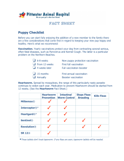 Puppy Checklist - Pittwater Animal Hospital