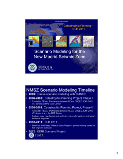 Scenario Modeling for the New Madrid Seismic Zone NMSZ
