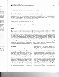 Formation of nematic ordered cellulose and chitin