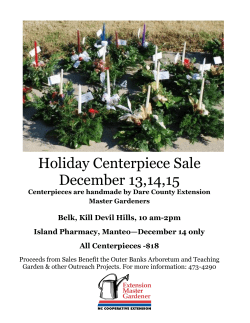 Holiday Centerpiece Sale December 13,14,15