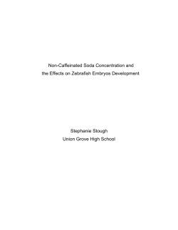 Non-Caffeinated Soda Concentration and the Effects on Zebrafish