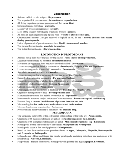 Locomotion - Sakshieducation.com