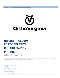 View Hip Arthroscopy Rehabilitation Protocol