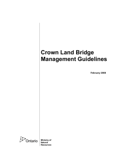 Crown Land Bridge Management Guidelines