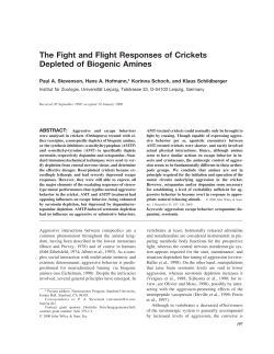 The Fight and Flight Responses of Crickets