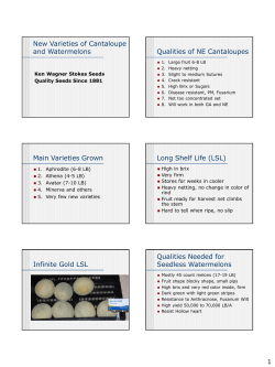 New Varieties of Cantaloupe and Watermelons